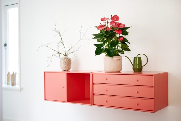 Livium Ruby - Imagen 3